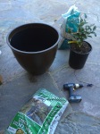 pot, soil, drill and tree- check