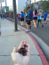 Why wouldn't you learn to run if at your first 5K they hand out chocolate at the halfway mark?!?