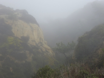 This is the closest photo I could come up with- Torrey Pines in the fog... (photo credit to andrewharper.com)