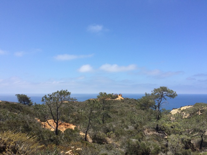 Stunning blue sky, green pines, and red cliffs, two days ago...